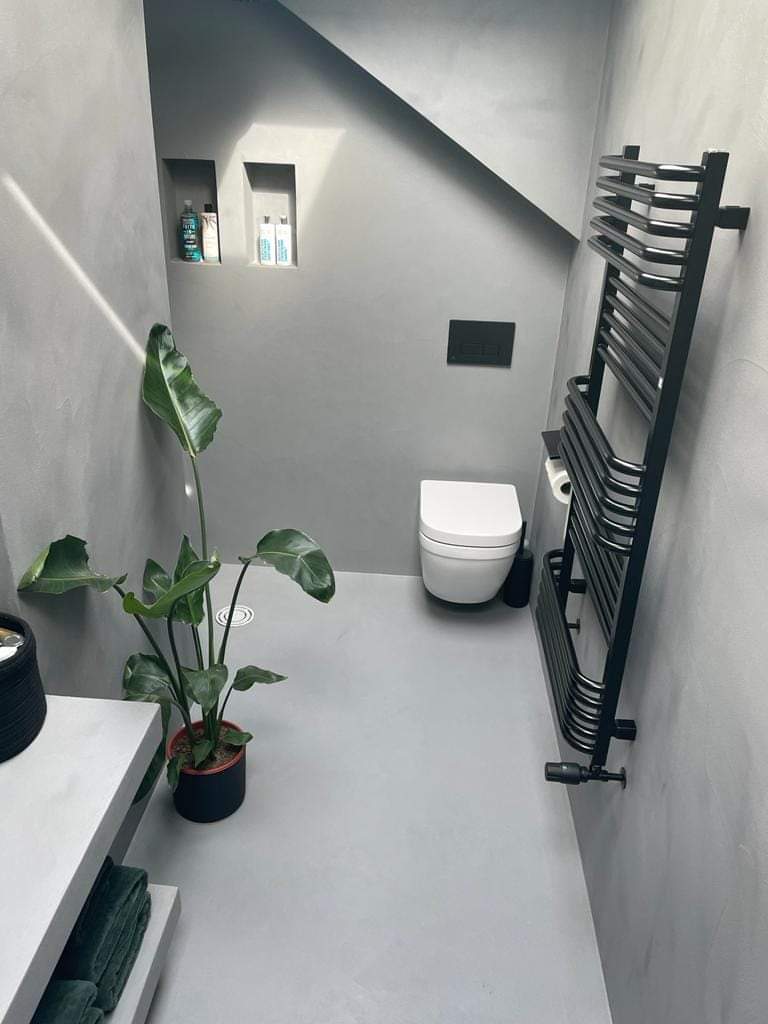 Minimalist white bathroom with potted plant, wall shelves, toilet, and chrome towel radiator.